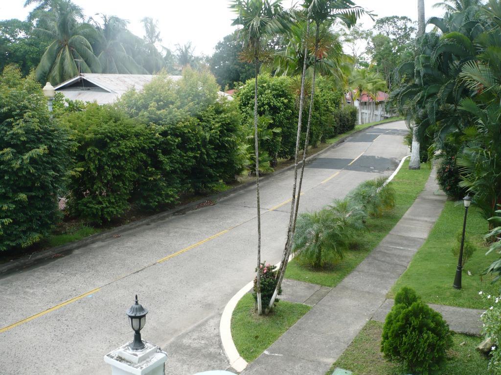 Dos Palmitos Bed And Breakfast ปานามาซิตี้ ภายนอก รูปภาพ