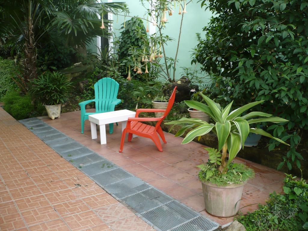 Dos Palmitos Bed And Breakfast ปานามาซิตี้ ภายนอก รูปภาพ